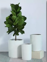 Large White Tall Glossy Planters (X-Large Floor Planters) (19630/3)
