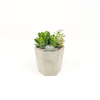 Pulpy Hexy Planter