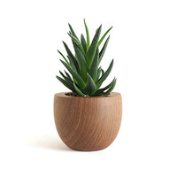 TeaCup Teak Wood Planter