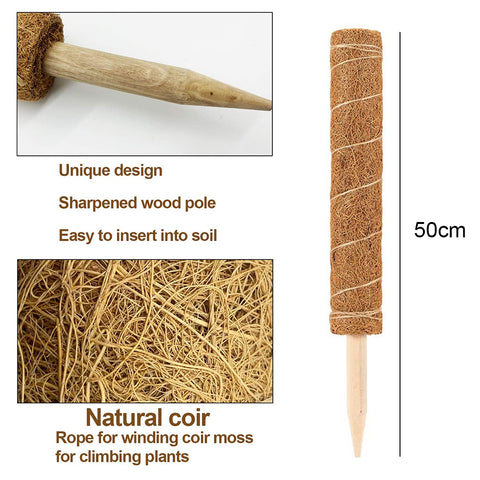 coco coir moss pole Coco Coir Pole (Extendable) 50cm – Pulpy Garden