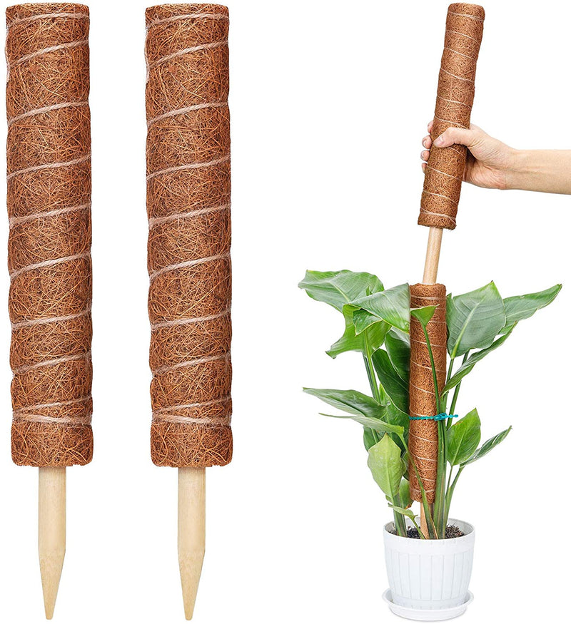 moss vs coco coir pole Coco Coir Pole (Extendable) 50cm – Pulpy Garden