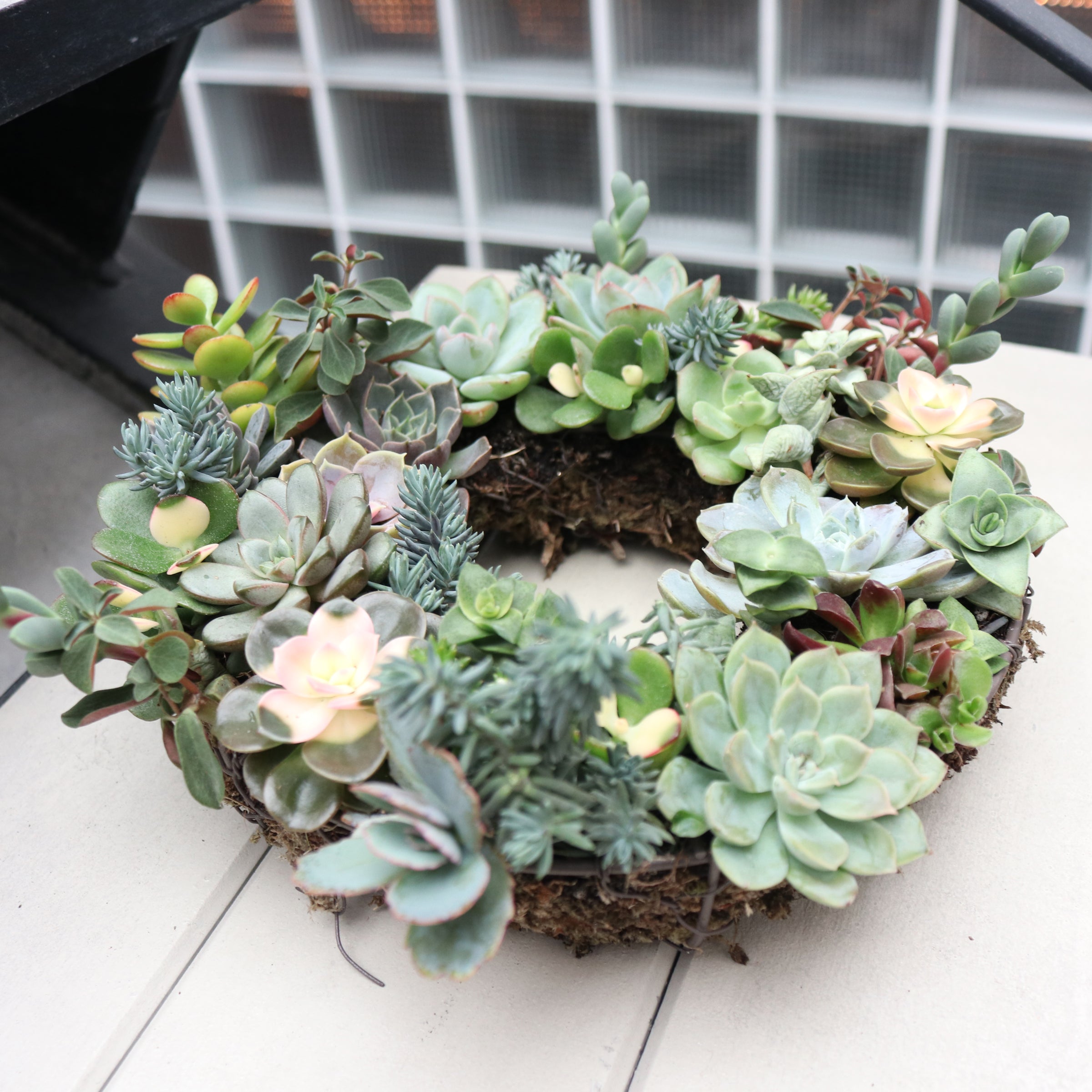succulent wreath delivery Pulpy Garden's Succulent Wreath
