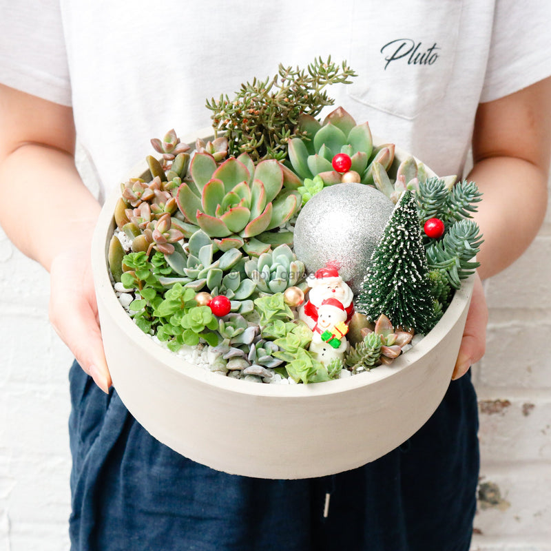 Christmas Love Planter (Limited)