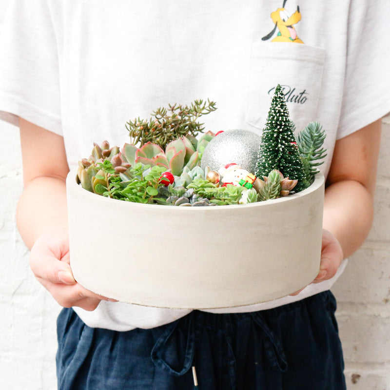 Christmas Love Planter (Limited)