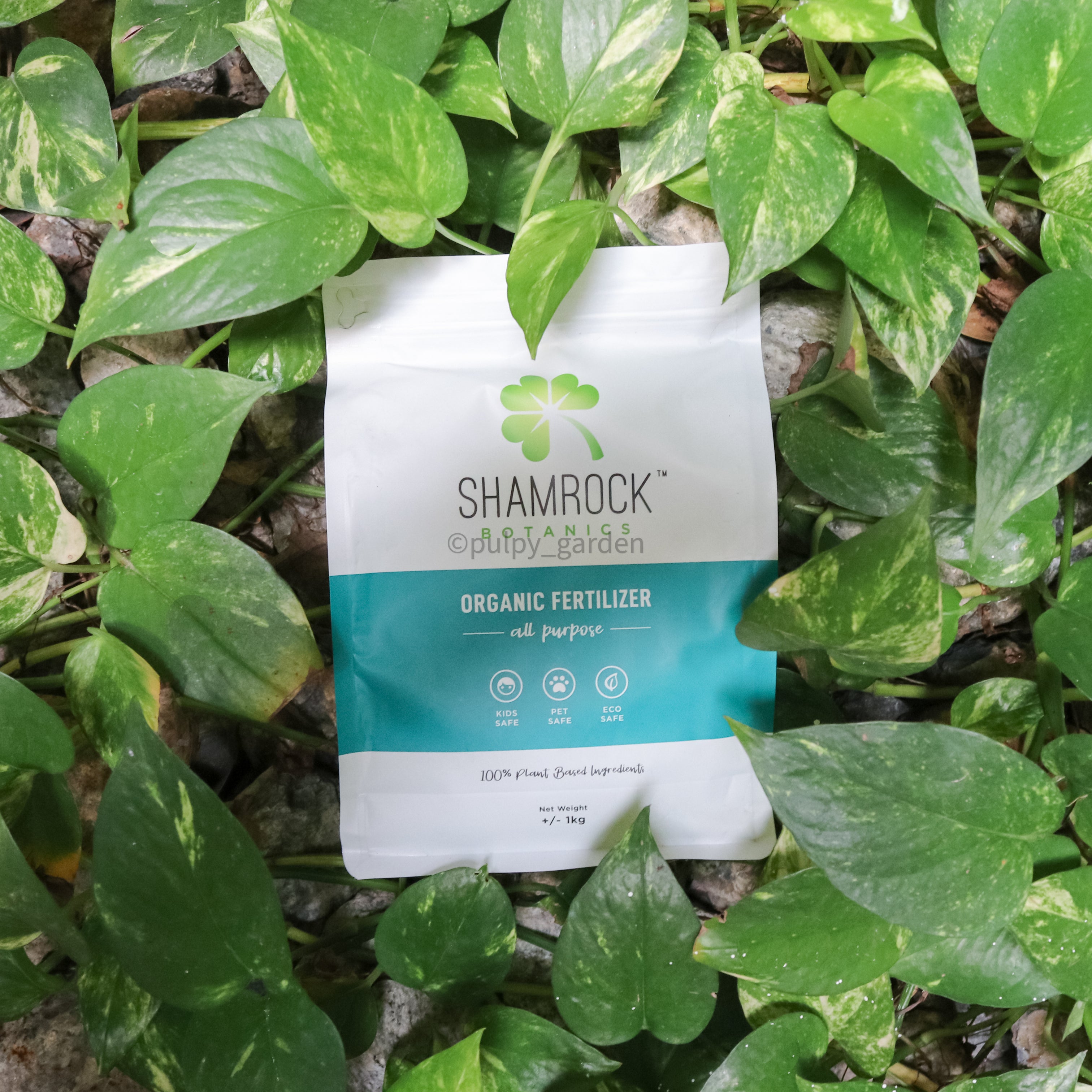 fertilizer for shamrock plant Shamrock Organic Fertilizer – Pulpy Garden