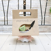 Poptanical - DIY Vegetable Kit