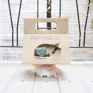 Poptanical - DIY Vegetable Kit