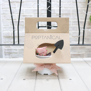 Poptanical - DIY Vegetable Kit