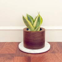 Tubular Teak Wood (M) Planter