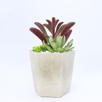 Pulpy Hexy Planter