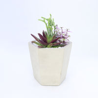 Pulpy Hexy Planter