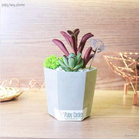 Pulpy Hexy Planter