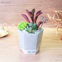 Pulpy Hexy Planter