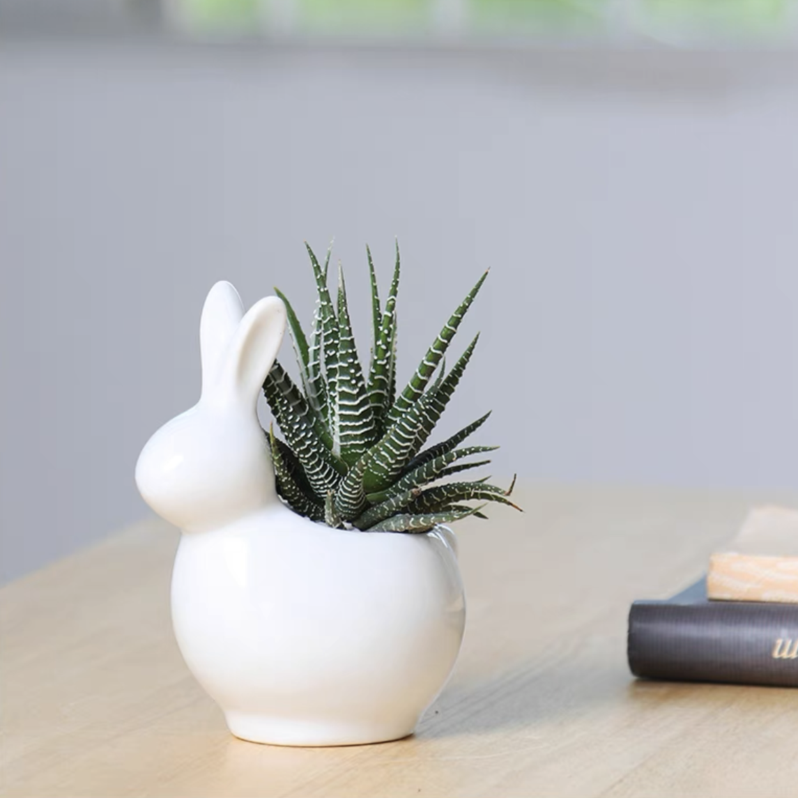 white rabbit succulent planter Hello Bunny! – Pulpy Garden
