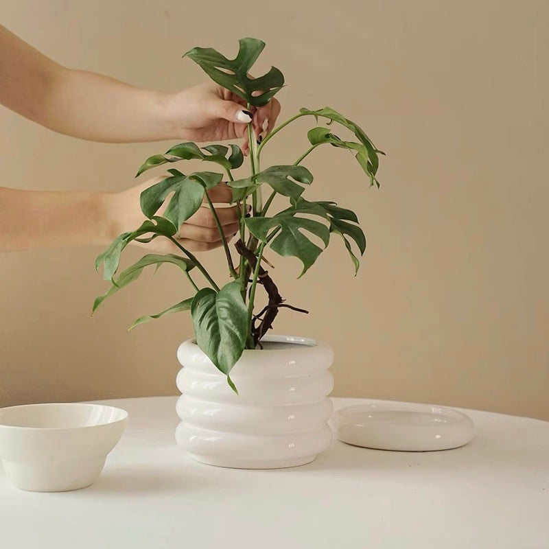White Michelin Planter with Saucer