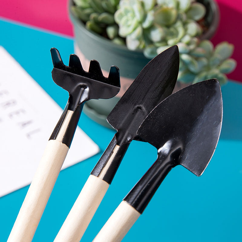 Succulent Potting Tool Set A (3pc)