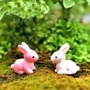 Miniatures - Bunny