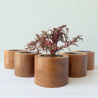 Tubular Teak Wood (M) Planter