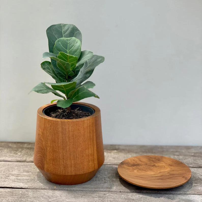 teak plant pot Whiskey
