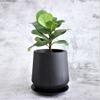 Whiskey - Teak Wood Planter (Charcoal)